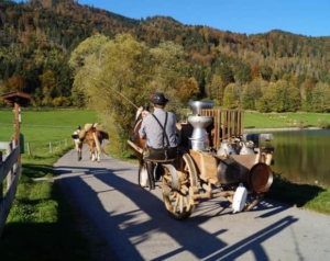 Herr Markhauser lenkt einen Figurenwagen mit vorgespanntem Pferd